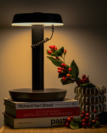 Black Matheson table lamp on books with a plant and berries on a wooden surface